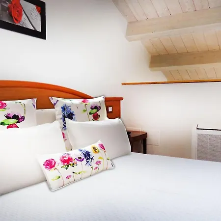Guest house Alloggi Al Verdi
